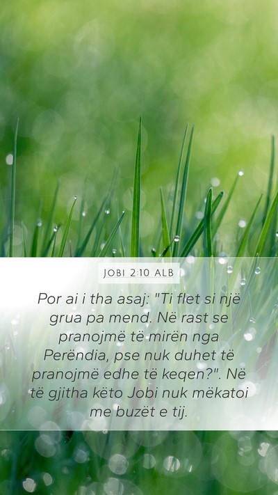 Jobi 2:10 ALB Bible Verse Image