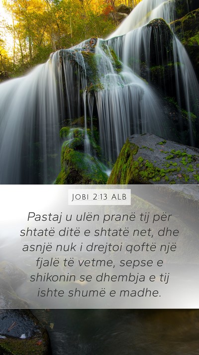 Jobi 2:13 ALB Bible Verse Image