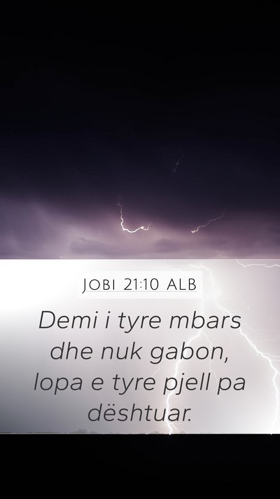 Jobi 21:10 ALB Bible Verse Image