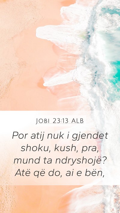 Jobi 23:13 ALB Bible Verse Image