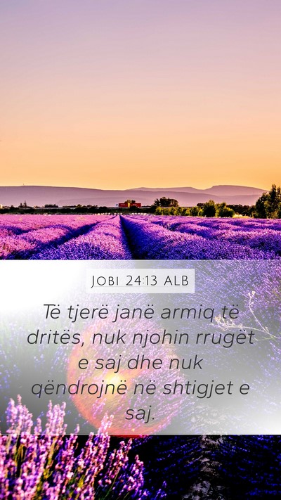 Jobi 24:13 ALB Bible Verse Image