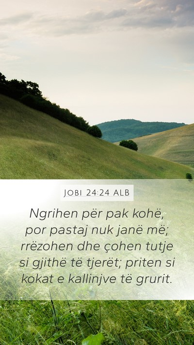 Jobi 24:24 ALB Bible Verse Image