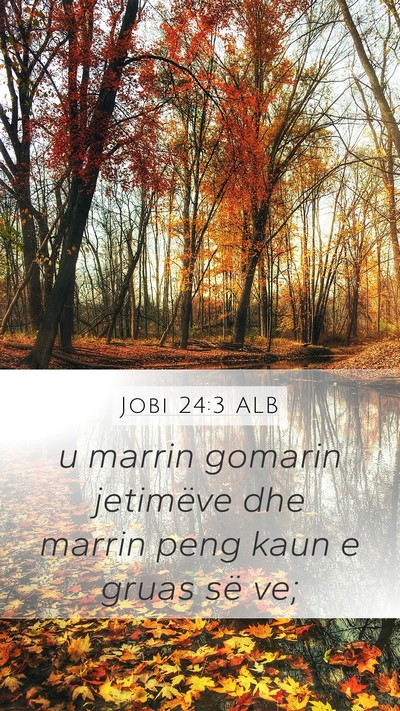 Jobi 24:3 ALB Bible Verse Image