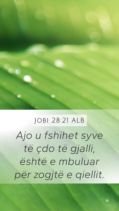 Jobi 28:21 ALB Bible Verse Image