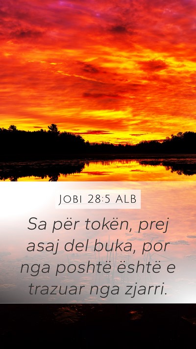 Jobi 28:5 ALB Bible Verse Image