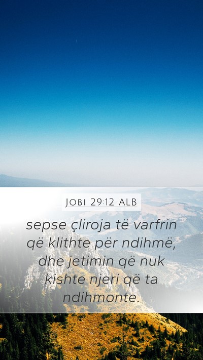 Jobi 29:12 ALB Bible Verse Image