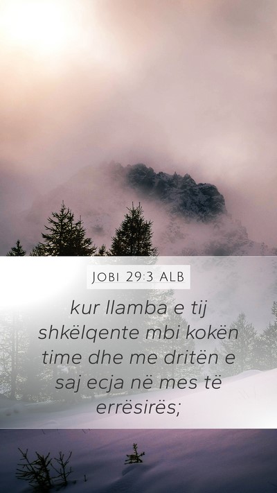 Jobi 29:3 ALB Bible Verse Image