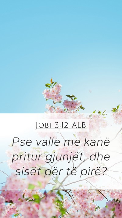 Jobi 3:12 ALB Mobile Phone Wallpaper - Pse vallë më kanë pritur gjunjët, dhe sisët - Mobile Bible Verse Wallpaper