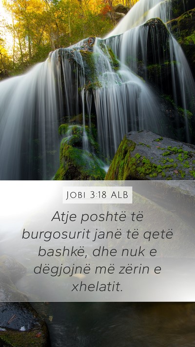 Jobi 3:18 ALB Bible Verse Image