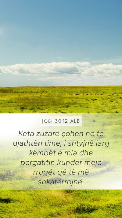 Jobi 30:12 ALB Bible Verse Image