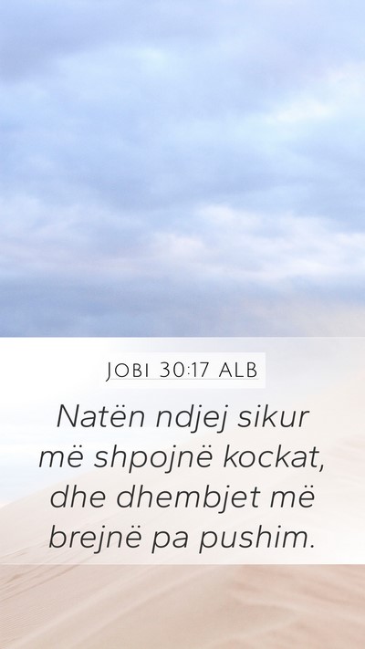 Jobi 30:17 ALB Bible Verse Image
