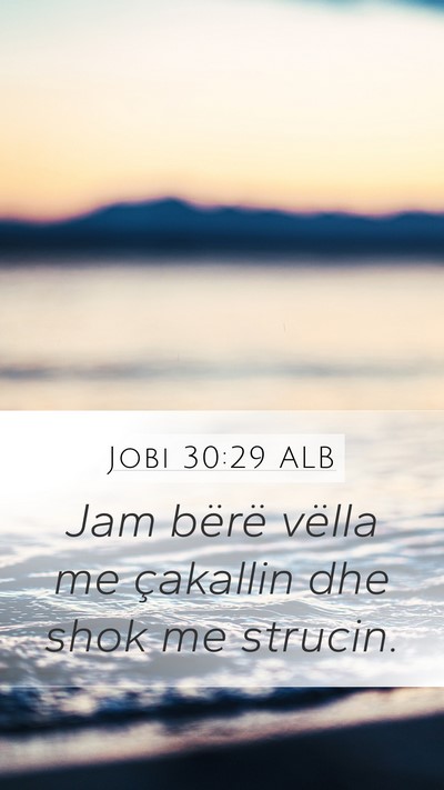 Jobi 30:29 ALB Bible Verse Image