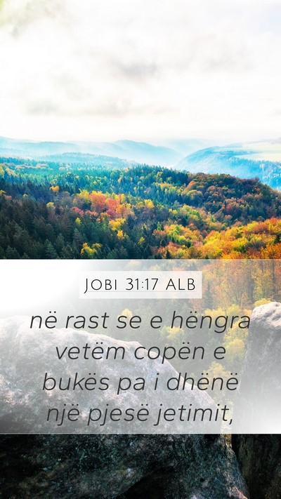 Jobi 31:17 ALB Bible Verse Image
