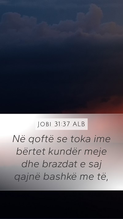 Jobi 31:37 ALB Bible Verse Image