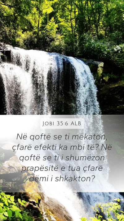 Jobi 35:6 ALB Bible Verse Image