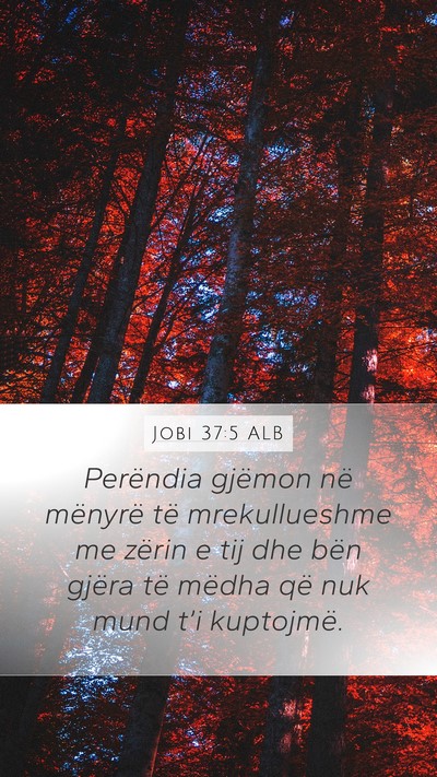 Jobi 37:5 ALB Bible Verse Image