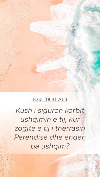 Jobi 38:41 ALB Bible Verse Image