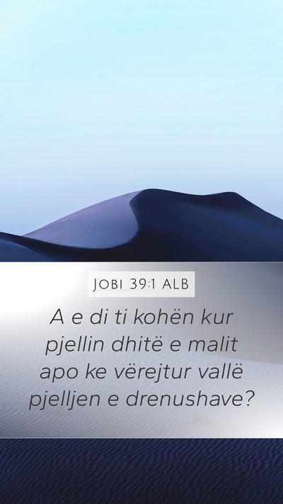 Jobi 39:1 ALB Mobile Phone Wallpaper - A e di ti kohën kur pjellin dhitë e malit apo - Mobile Bible Verse Wallpaper