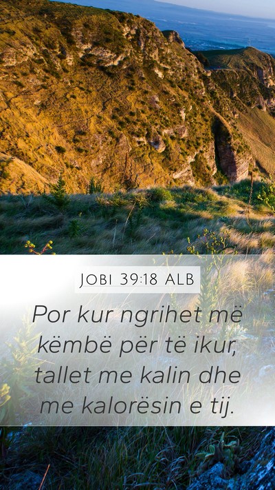 Jobi 39:18 ALB Bible Verse Image