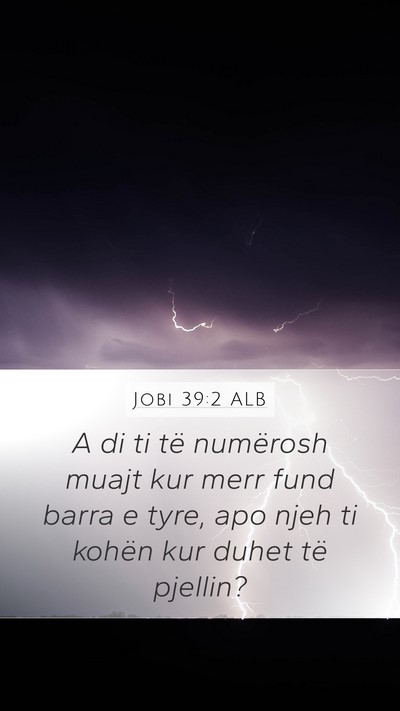 Jobi 39:2 ALB Mobile Phone Wallpaper - A di ti të numërosh muajt kur merr fund barra e - Mobile Bible Verse Wallpaper