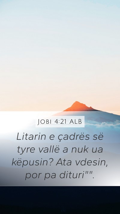 Jobi 4:21 ALB Bible Verse Image