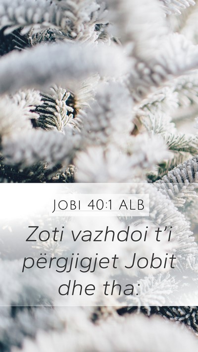 Jobi 40:1 ALB Mobile Phone Wallpaper - Zoti vazhdoi t’i përgjigjet Jobit dhe - Mobile Bible Verse Wallpaper