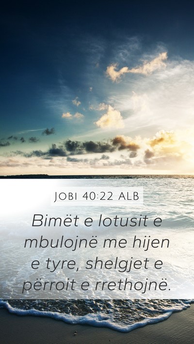 Jobi 40:22 ALB Mobile Phone Wallpaper - Bimët e lotusit e mbulojnë me hijen e tyre, - Mobile Bible Verse Wallpaper