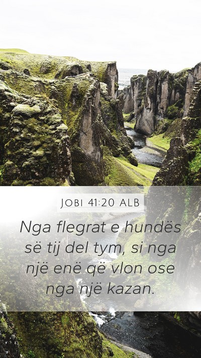 Jobi 41:20 ALB Bible Verse Image