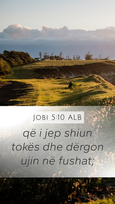 Jobi 5:10 ALB Bible Verse Image