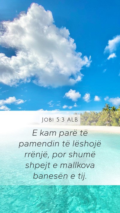 Jobi 5:3 ALB Bible Verse Image