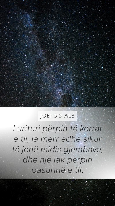 Jobi 5:5 ALB Bible Verse Image