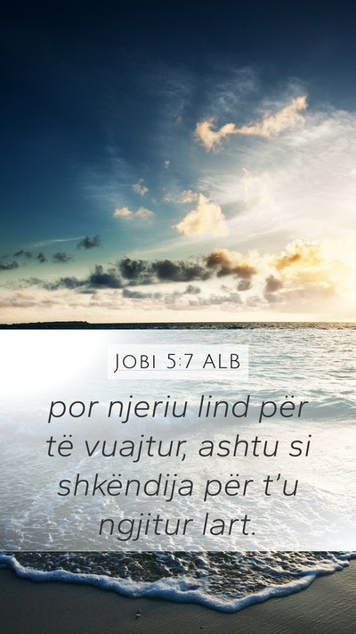 Jobi 5:7 ALB Bible Verse Image