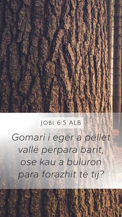 Jobi 6:5 ALB Bible Verse Image