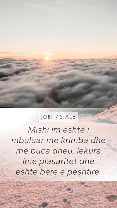 Jobi 7:5 ALB Bible Verse Image