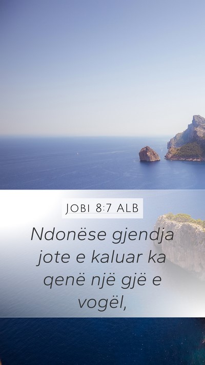 Jobi 8:7 ALB Bible Verse Image