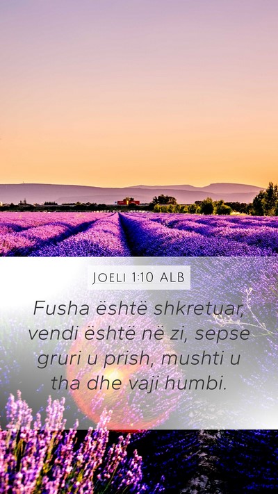 Joeli 1:10 ALB Bible Verse Image
