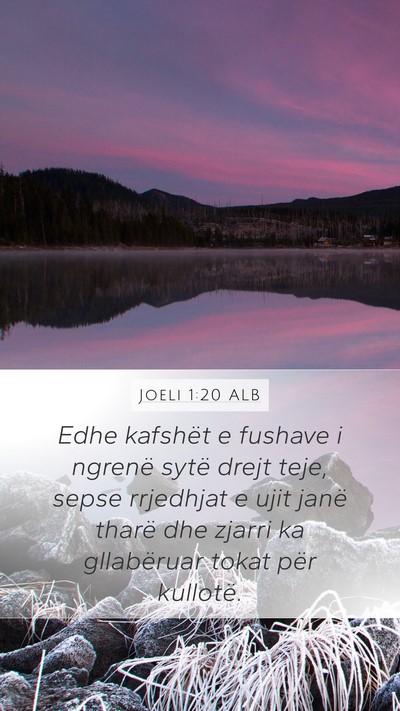 Joeli 1:20 ALB Bible Verse Image