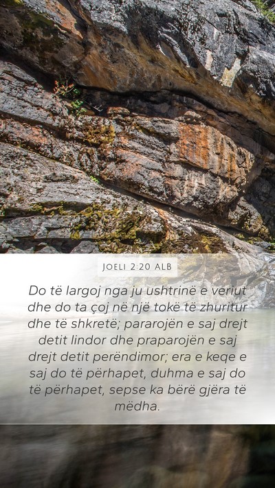 Joeli 2:20 ALB Bible Verse Image