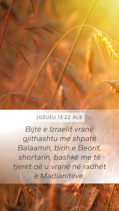 Jozueu 13:22 ALB Bible Verse Image