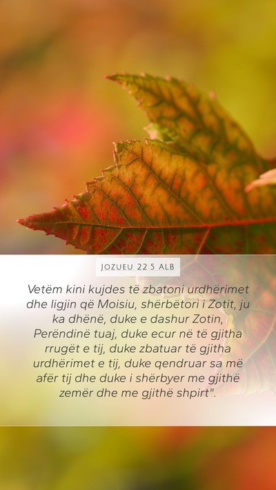 Jozueu 22:5 ALB Bible Verse Image