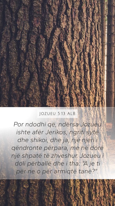 Jozueu 5:13 ALB Bible Verse Image