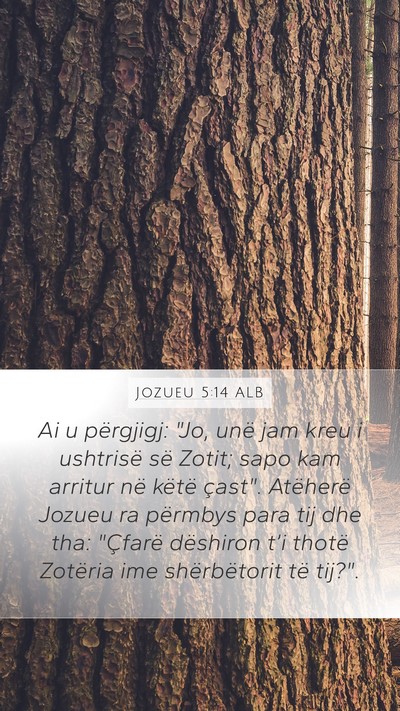 Jozueu 5:14 ALB Bible Verse Image