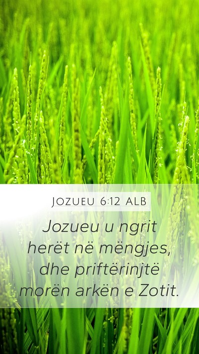 Jozueu 6:12 ALB Bible Verse Image