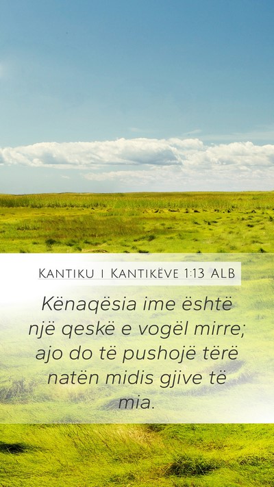 Kantiku i Kantikëve 1:13 ALB Bible Verse Image