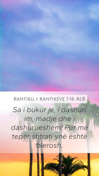 Kantiku i Kantikëve 1:16 ALB Bible Verse Image