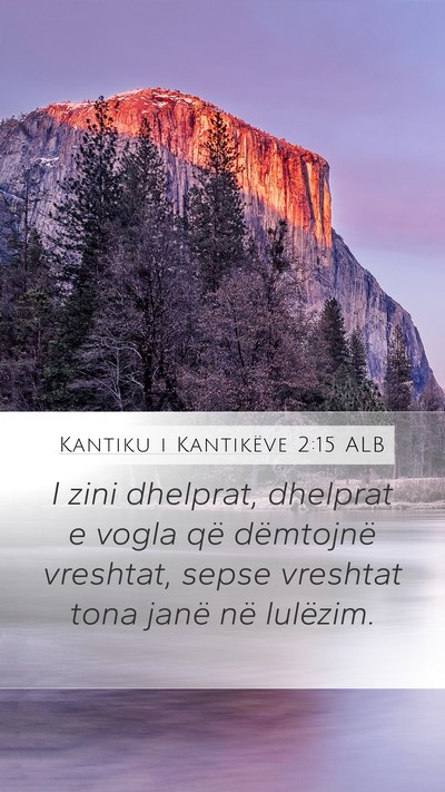 Kantiku i Kantikëve 2:15 ALB Mobile Phone Wallpaper - I zini dhelprat, dhelprat e vogla që dëmtojnë - Mobile Bible Verse Wallpaper