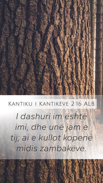 Kantiku i Kantikëve 2:16 ALB Bible Verse Image