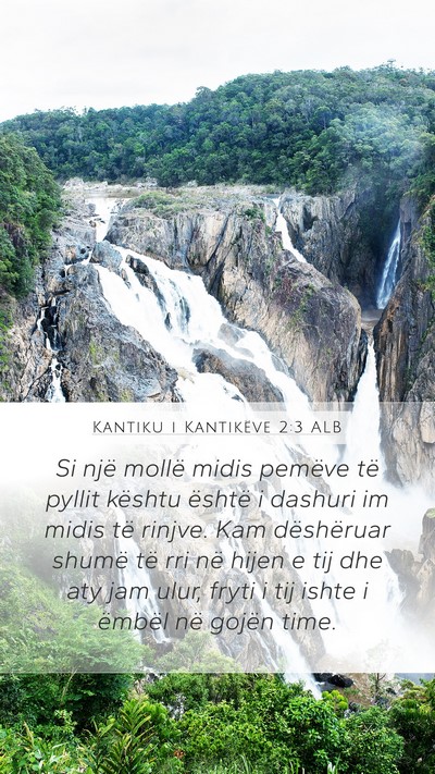 Kantiku i Kantikëve 2:3 ALB Bible Verse Image