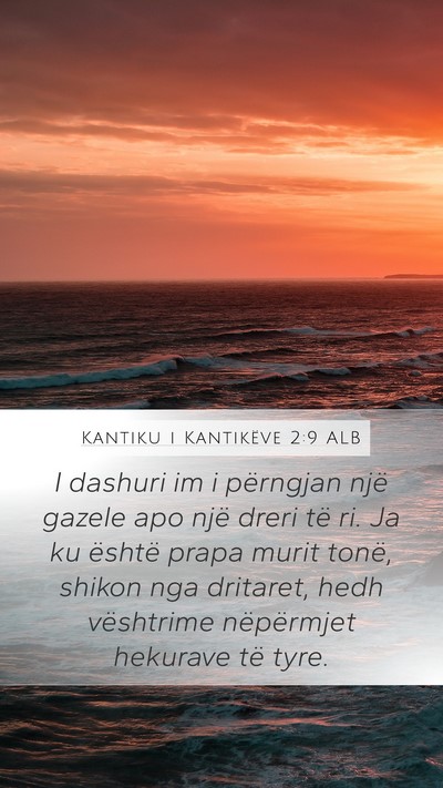 Kantiku i Kantikëve 2:9 ALB Bible Verse Image