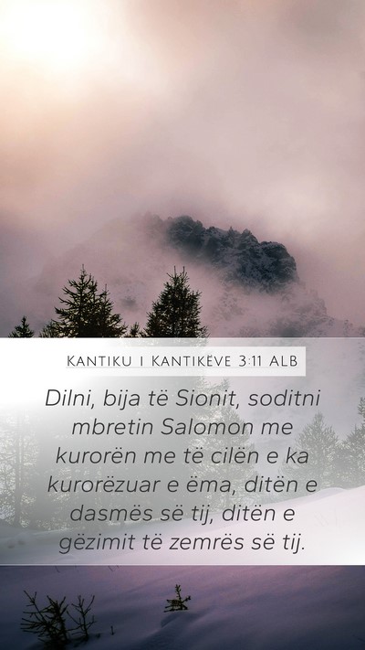 Kantiku i Kantikëve 3:11 ALB Bible Verse Image